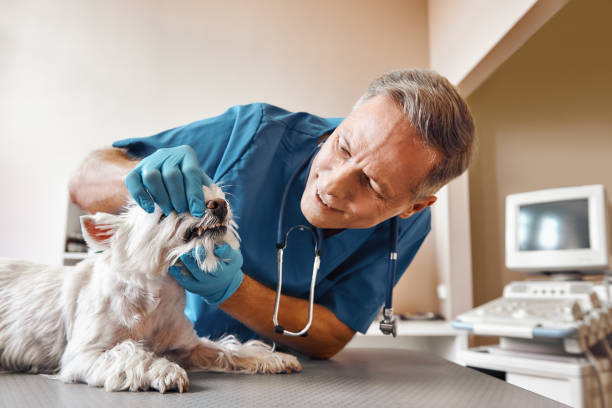 Best Weekend Emergency Dentist in Livingston, TN