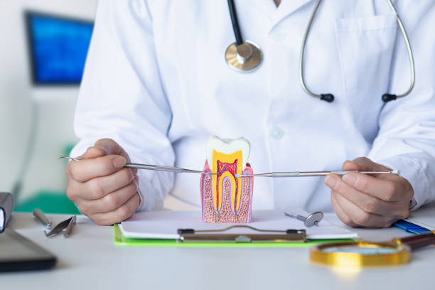 Best Urgent Dental Care in Livingston, TN